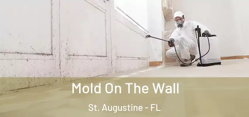  Mold On The Wall St. Augustine - FL