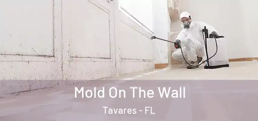  Mold On The Wall Tavares - FL