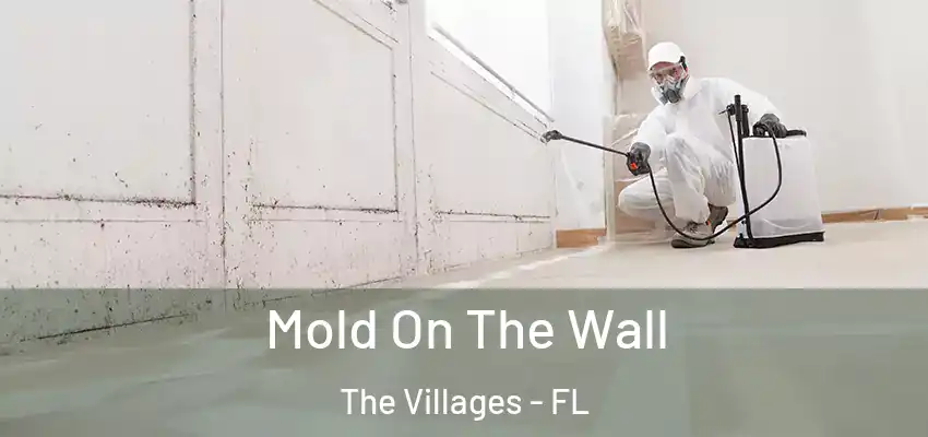  Mold On The Wall The Villages - FL