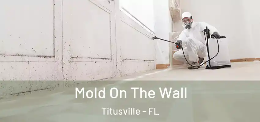  Mold On The Wall Titusville - FL