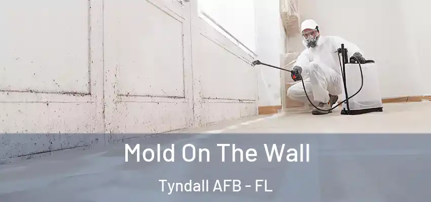  Mold On The Wall Tyndall AFB - FL
