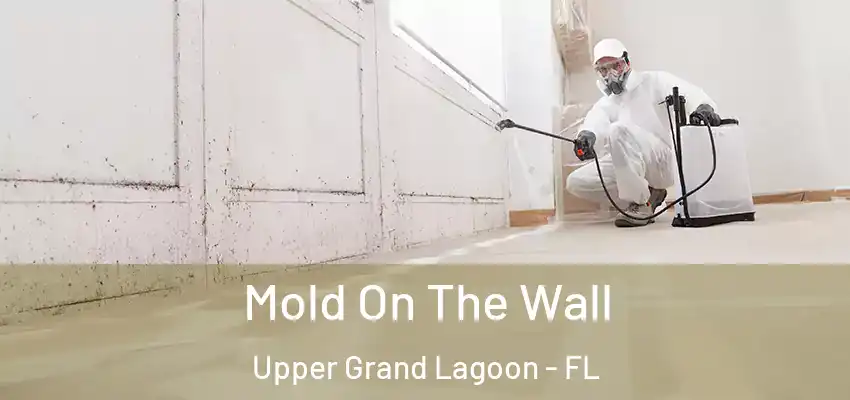 Mold On The Wall Upper Grand Lagoon - FL