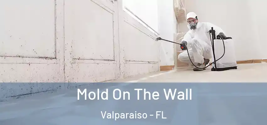  Mold On The Wall Valparaiso - FL