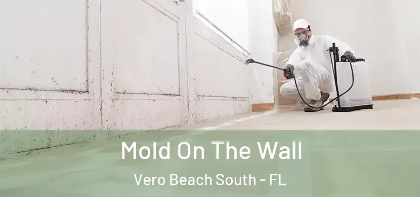  Mold On The Wall Vero Beach South - FL
