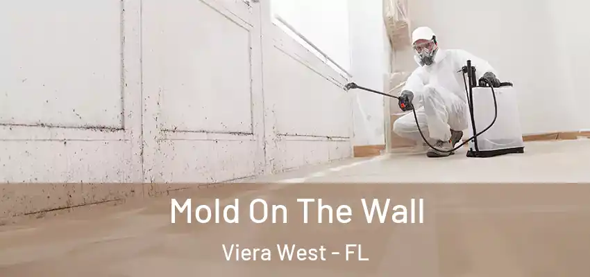  Mold On The Wall Viera West - FL