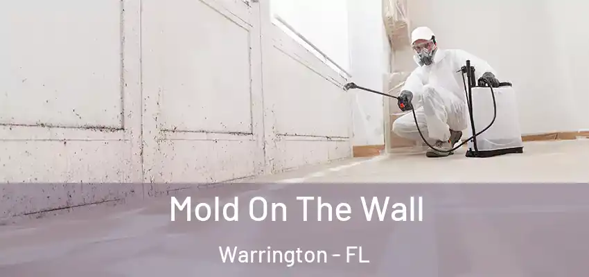  Mold On The Wall Warrington - FL