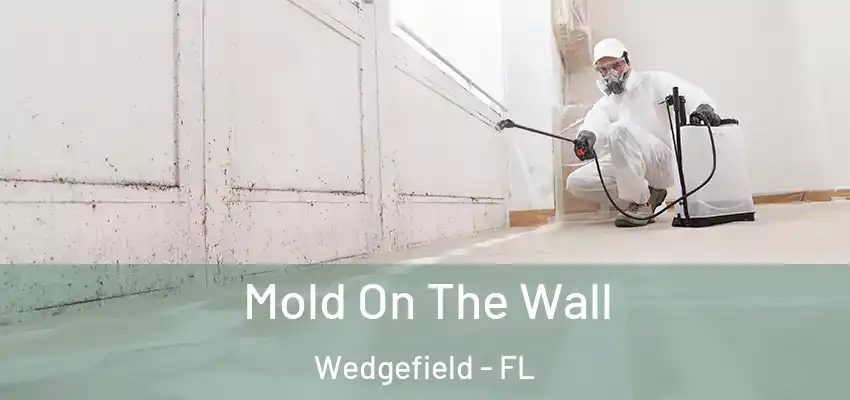 Mold On The Wall Wedgefield - FL