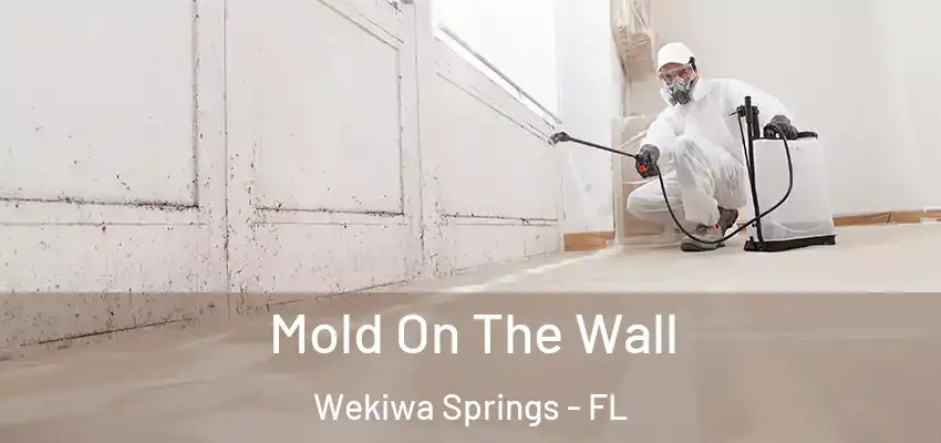  Mold On The Wall Wekiwa Springs - FL