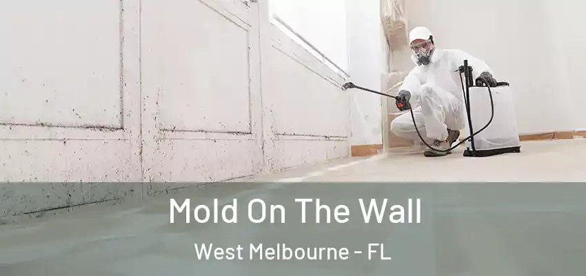  Mold On The Wall West Melbourne - FL