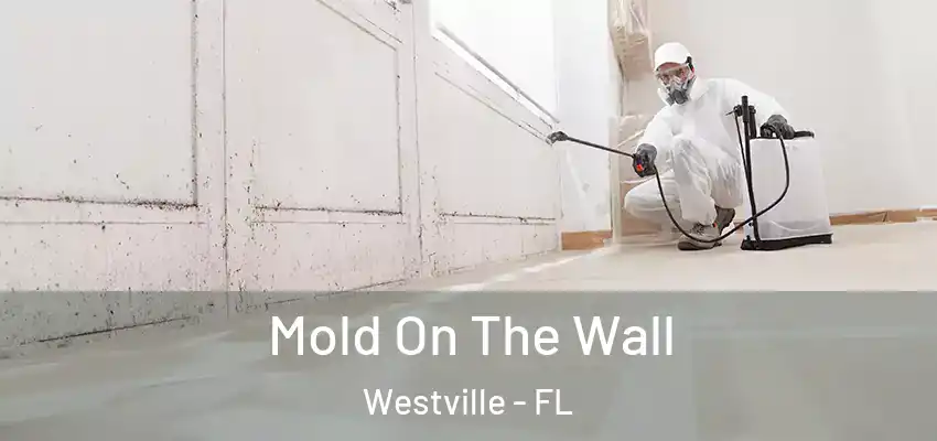  Mold On The Wall Westville - FL