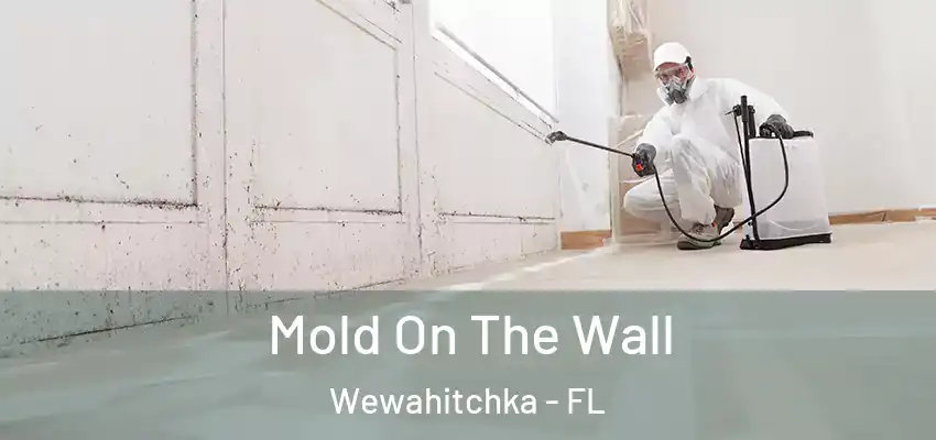  Mold On The Wall Wewahitchka - FL