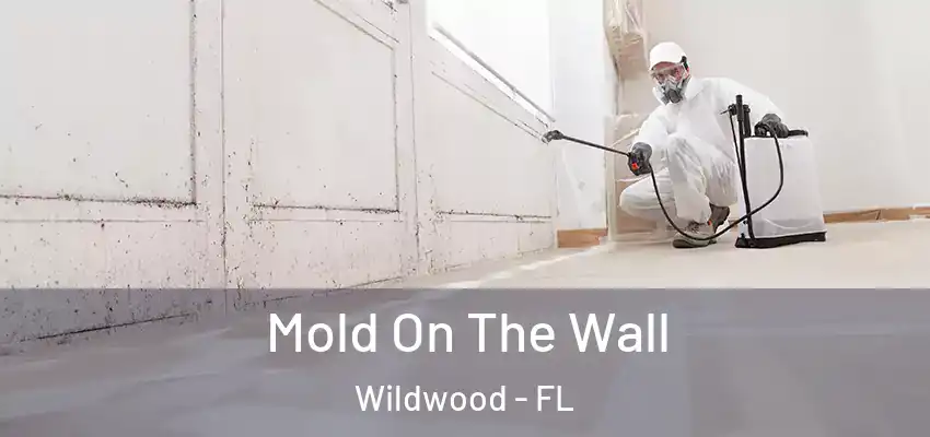  Mold On The Wall Wildwood - FL