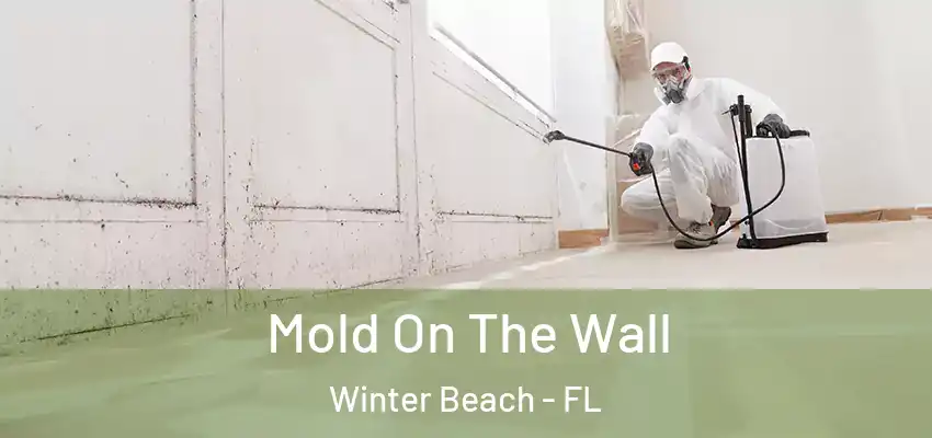  Mold On The Wall Winter Beach - FL