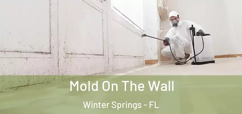  Mold On The Wall Winter Springs - FL