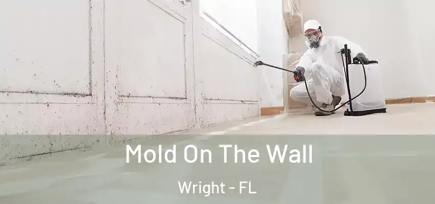  Mold On The Wall Wright - FL