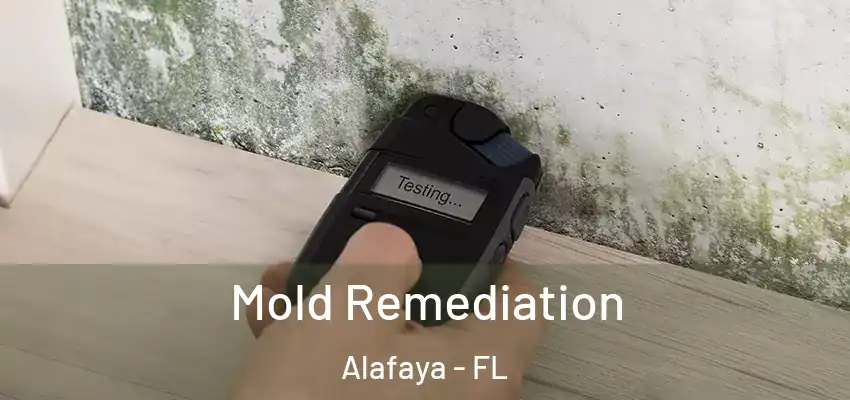 Mold Remediation Alafaya - FL