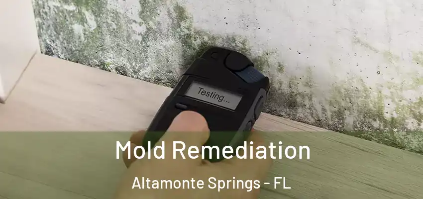 Mold Remediation Altamonte Springs - FL
