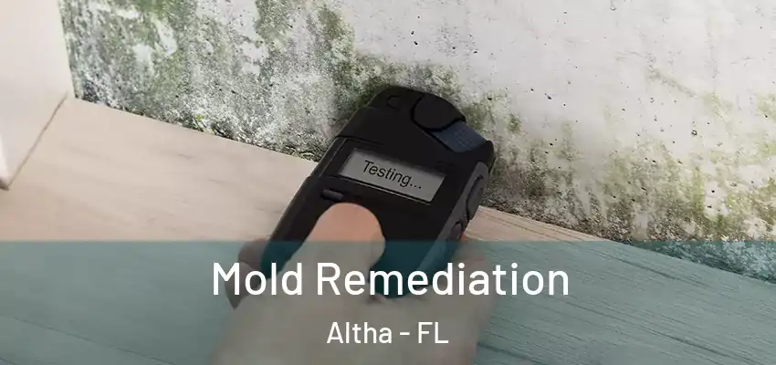  Mold Remediation Altha - FL