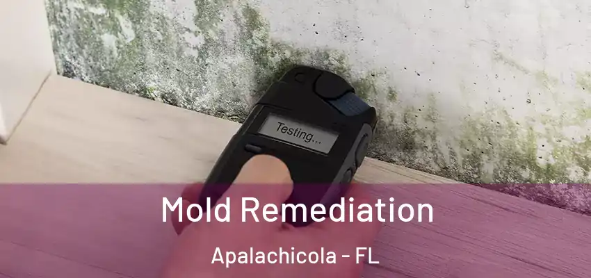  Mold Remediation Apalachicola - FL