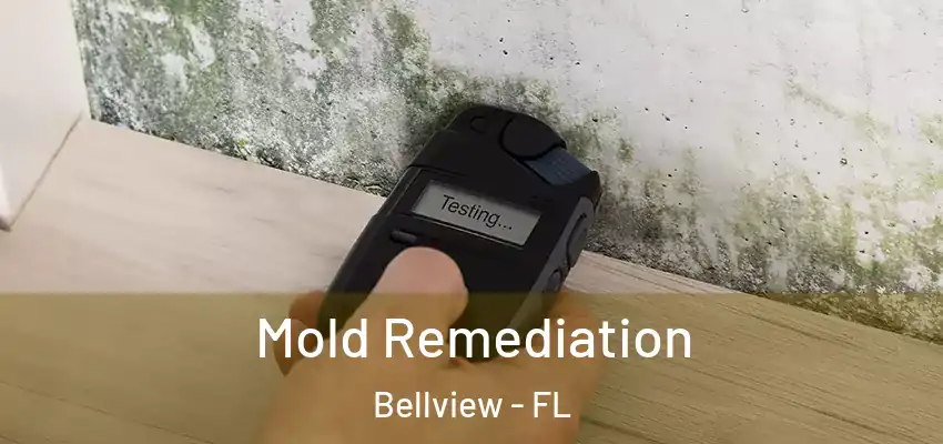  Mold Remediation Bellview - FL