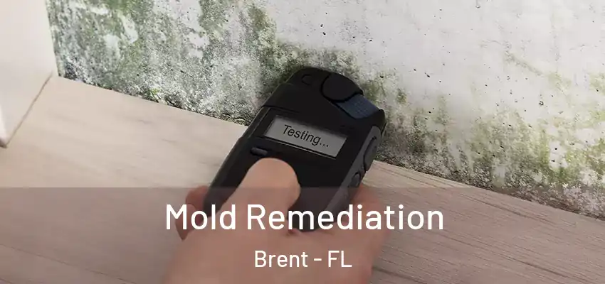 Mold Remediation Brent - FL