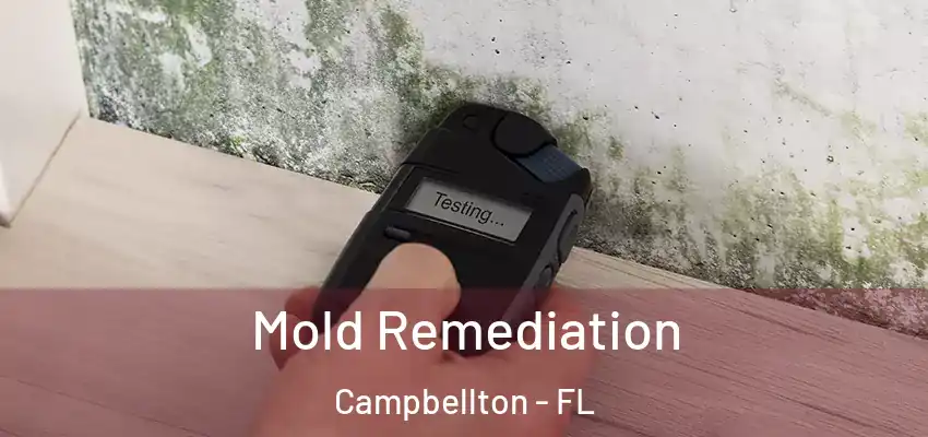 Mold Remediation Campbellton - FL