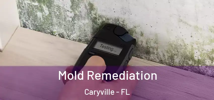  Mold Remediation Caryville - FL