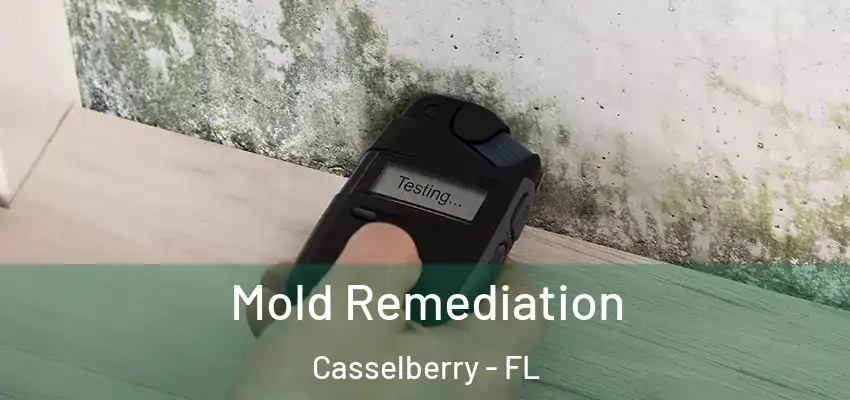  Mold Remediation Casselberry - FL