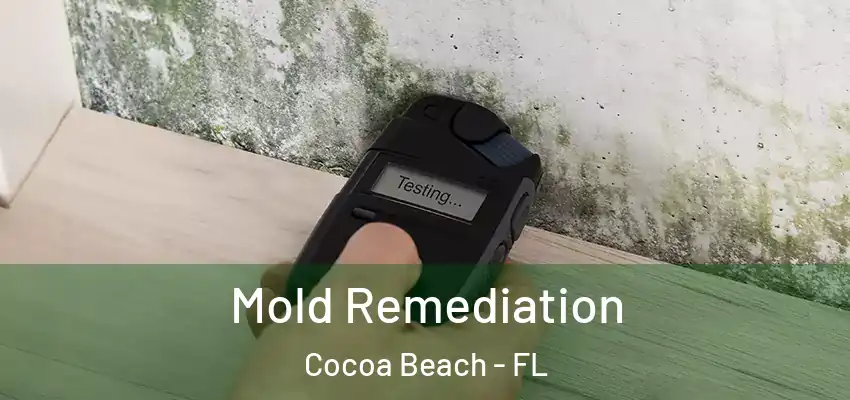  Mold Remediation Cocoa Beach - FL