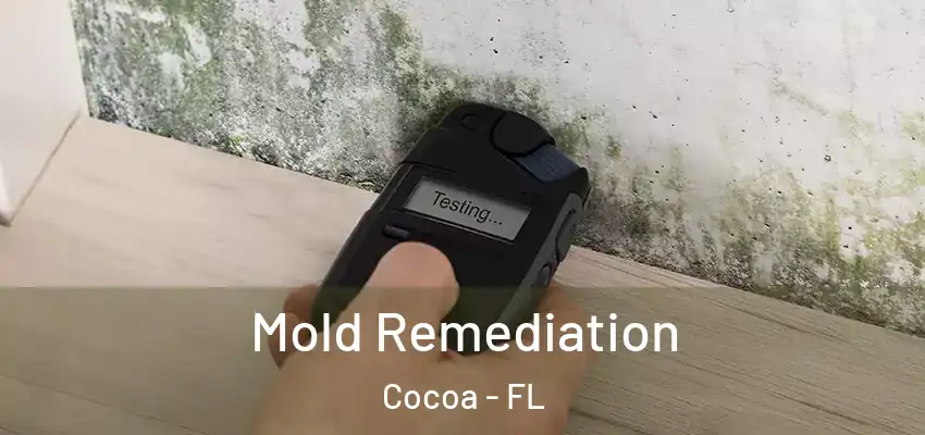  Mold Remediation Cocoa - FL