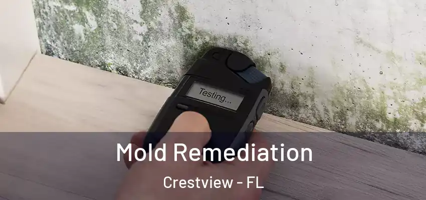 Mold Remediation Crestview - FL