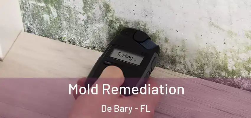  Mold Remediation De Bary - FL