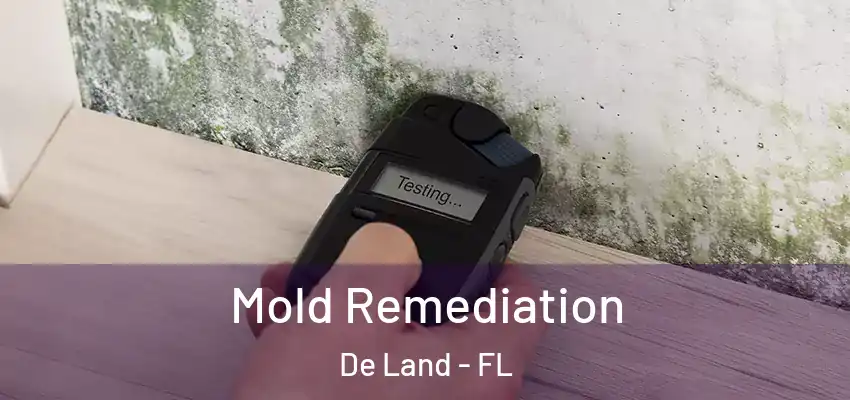  Mold Remediation De Land - FL