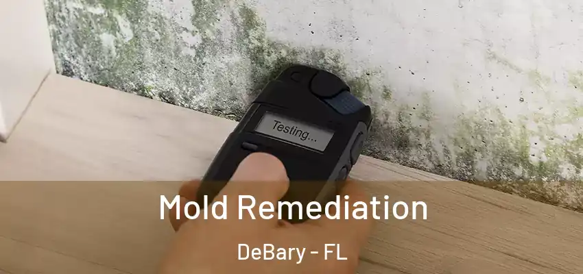 Mold Remediation DeBary - FL