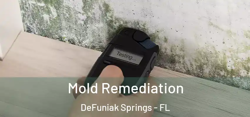 Mold Remediation DeFuniak Springs - FL