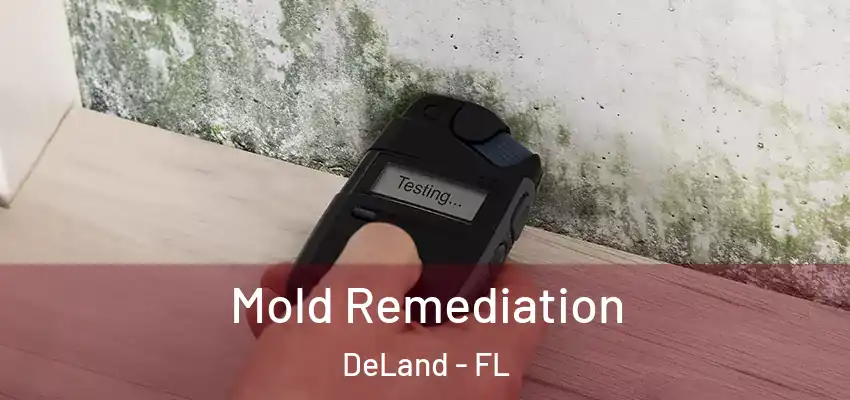  Mold Remediation DeLand - FL