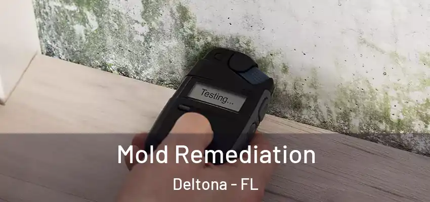  Mold Remediation Deltona - FL
