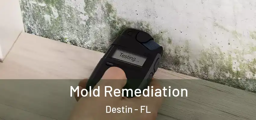 Mold Remediation Destin - FL