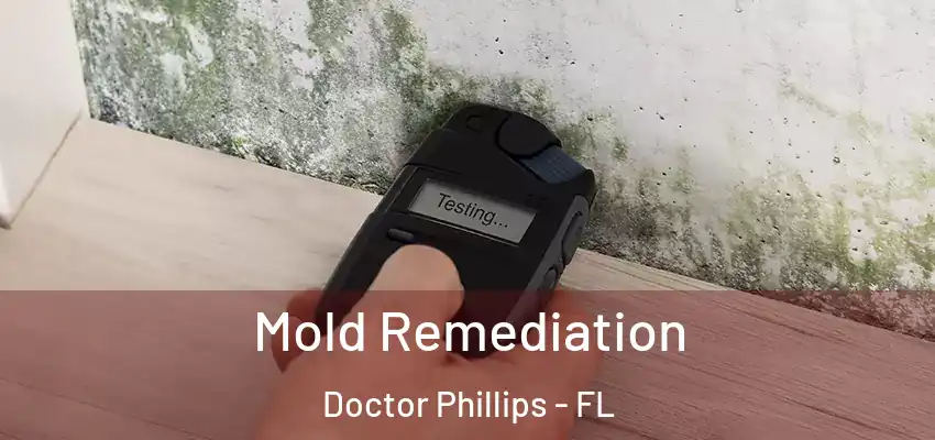  Mold Remediation Doctor Phillips - FL