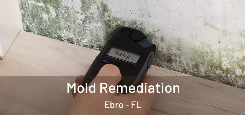 Mold Remediation Ebro - FL