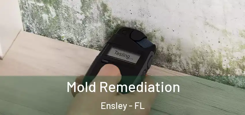Mold Remediation Ensley - FL