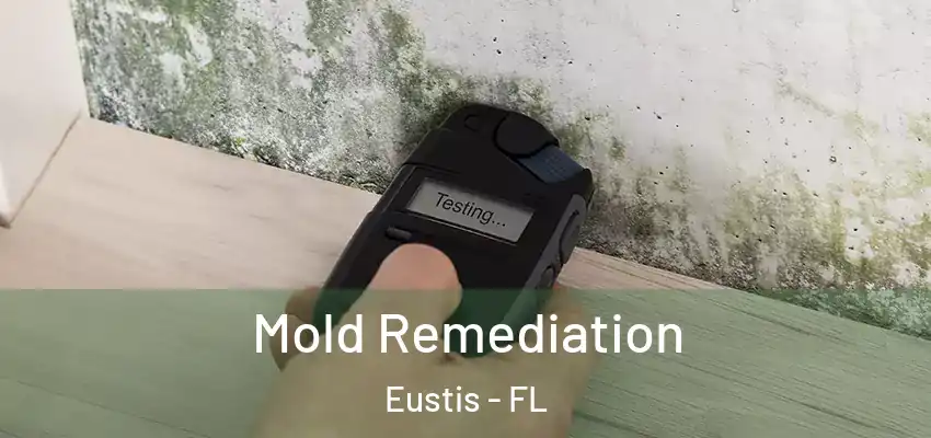  Mold Remediation Eustis - FL
