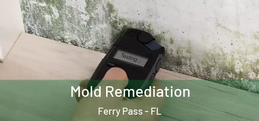  Mold Remediation Ferry Pass - FL