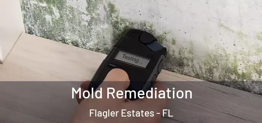  Mold Remediation Flagler Estates - FL