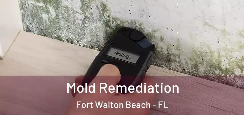  Mold Remediation Fort Walton Beach - FL