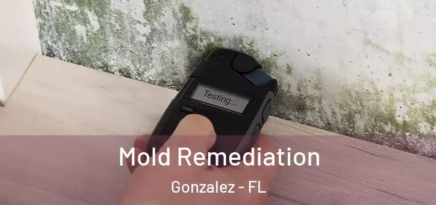 Mold Remediation Gonzalez - FL