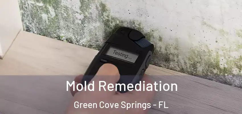 Mold Remediation Green Cove Springs - FL