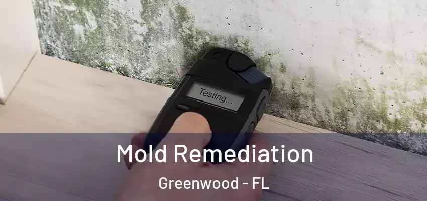  Mold Remediation Greenwood - FL