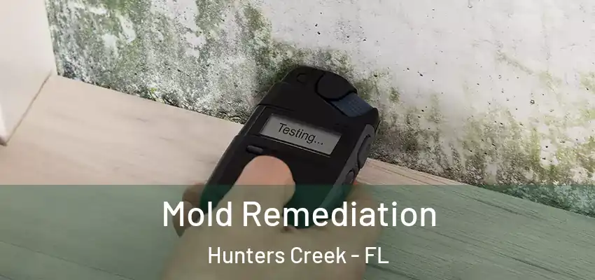  Mold Remediation Hunters Creek - FL