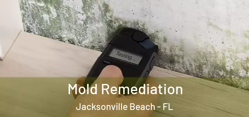 Mold Remediation Jacksonville Beach - FL
